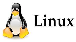 Kali Linux'ta Process Management: Arka Plana Alma, Ön Plana Alma ve İyiye Yönelik İşlem Ayarları